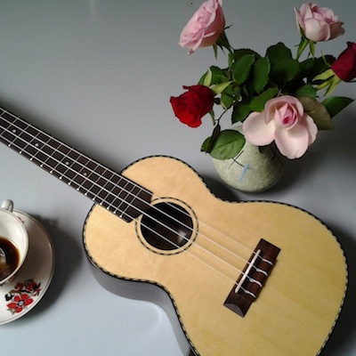 Partymusik mit der Ukulele